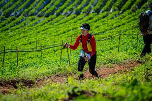 BIB: 
                            <button type="button" onclick="openModal(19162584)" class="btn btn-primary btn-sm float-right btn-popup" data-toggle="modal" data-target=".modal-high-quality">
                        <i class="fas fa-shopping-cart"></i> Add to Cart
                    </button>
                                            <button type="button" onclick="isThisMe(19162584, true)" class="btn btn-success btn-sm float-right btn-popup btn-isme hidden" data-toggle="tooltip" data-placement="bottom" title="นี่คือรูปของคุณใช่ไหม คลิกที่นี่เพื่อเอาเข้าอัลบั้ม">
                        <i class="fas fa-plus"></i> Add to album
                    </button>
                    <button type="button" onclick="isThisMe(19162584, false)" class="btn btn-warning btn-sm float-right btn-popup btn-isnotme hidden">
                        <i class="fas fa-ban"></i> Remove from album
                    </button>